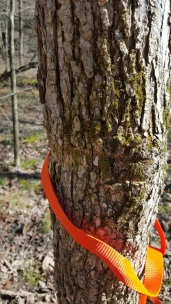 Tentsile Flite Tree Tent -Outdoor Camping Store 13