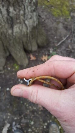 Therm-a-Rest Slacker Hammock House -Outdoor Camping Store 20170326 084452