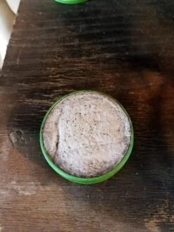 Trail Designs Kojin Stove -Outdoor Camping Store 20180908 143223