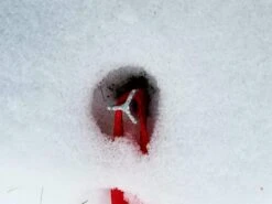 Marmot Taku -Outdoor Camping Store 20181208 163301