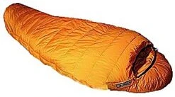 Feathered Friends Snow Goose