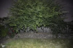 BioLite PowerLight Mini -Outdoor Camping Store BioStill07