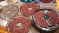 Eastman Outdoors Food Dehydrator 4 Tray -Outdoor Camping Store Dehydrator 2