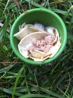 Silipint Half Pint -Outdoor Camping Store IMG 2020