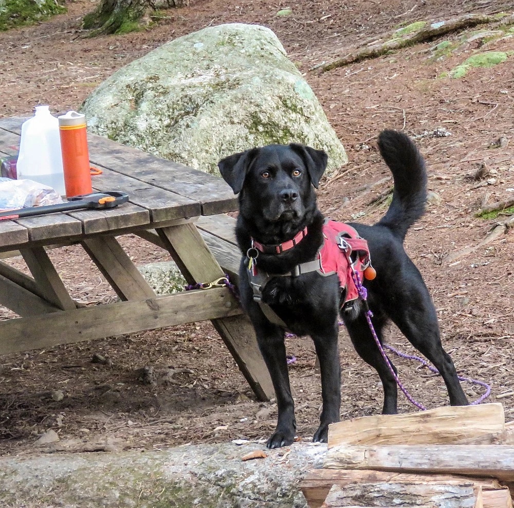 Grayl Ultralight 3 Grayl Ultralight - Image 3