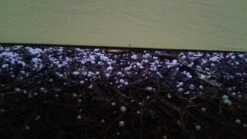 Outdoor Camping Store -Outdoor Camping Store hail