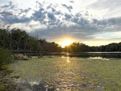 MSR Guardian Purifier -Outdoor Camping Store msr13 easyHDR